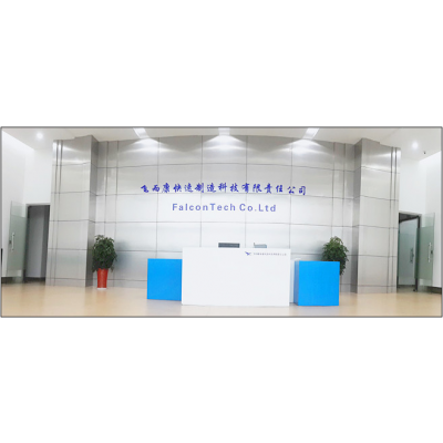 飛而康快速制造科技有限責任公司